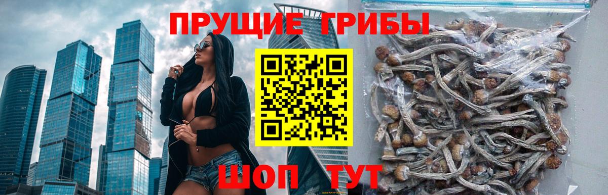 Галлюциногенные грибы GOLDEN TEACHER  Вход с VPN  Галлюциногенные грибы MAGIC MUSHROOMS  Топки 