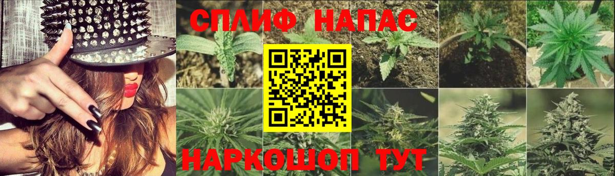 МАРИХУАНА тримм  Шишки марихуана Bruce Banner  Каннабис Bruce Banner  Каннабис ГИДРОПОН  Топки  Вход с VPN 